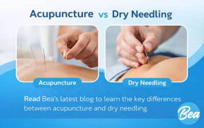 What Is the Difference Between …